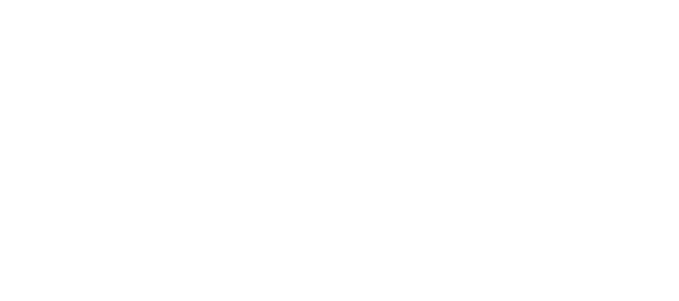 Shawky Group